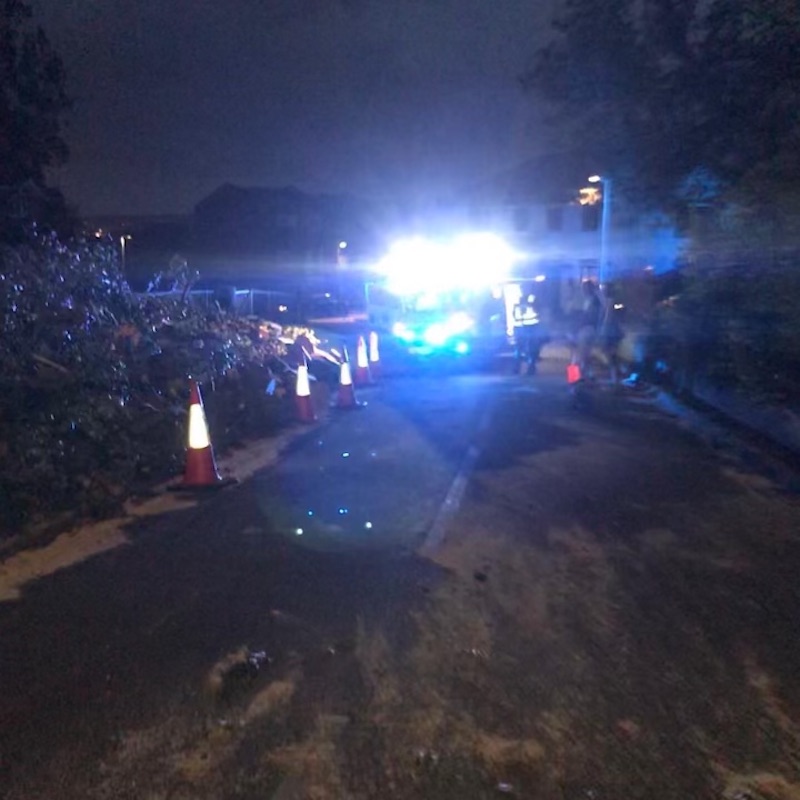 emergency removal of storm damaged tree